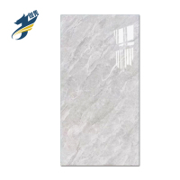 伽隽 墙砖 300*600（颜色可选） 块