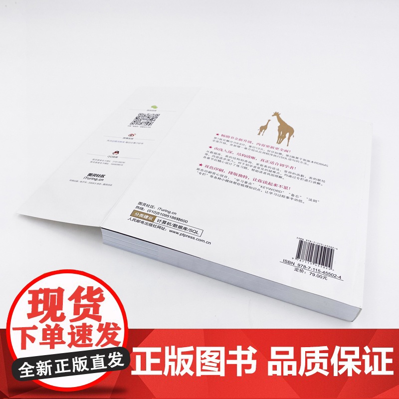 [正版书籍] SQL基础教程 第2二版 SQL基础教程数据库编程 SQL菜鸟进阶 sql语言数据库基础教程书籍sql数高清大图