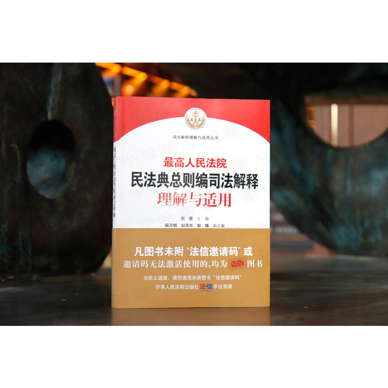 [正版] 2022人民法院民法典总则编司法解释理解与适用 贺荣 民法典体系逻辑适用规律司法解释条文主旨理解审判相关法条高清大图