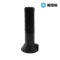 湘恒锐 沉头带榫螺栓 M20×55mm 个