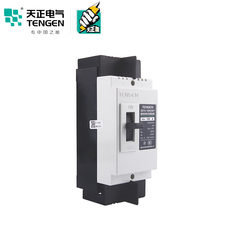 天正电气 DZ15-100 5KA 热磁式 100A 2P 手动 固定式 220V 01040030001 塑壳断路器