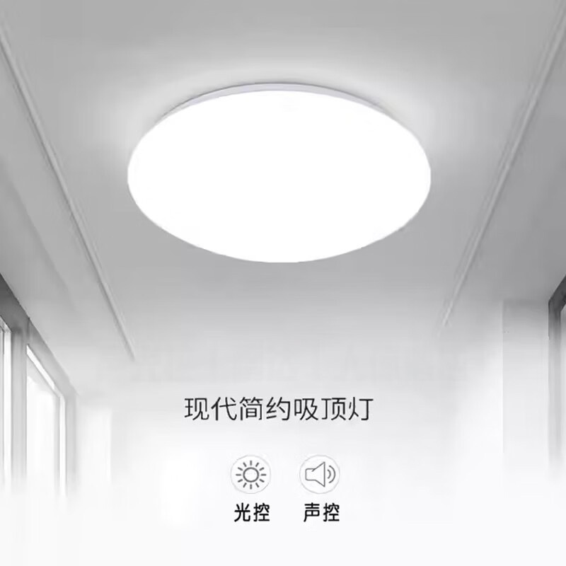 百士安 感应吸顶灯LED声光控走廊过道楼梯灯 入户玄关灯具 12W-白光-直径26cm