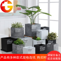 正方形水泥花盆北欧简约多肉植物花瓶水培绿植带托盘盆景家居装饰