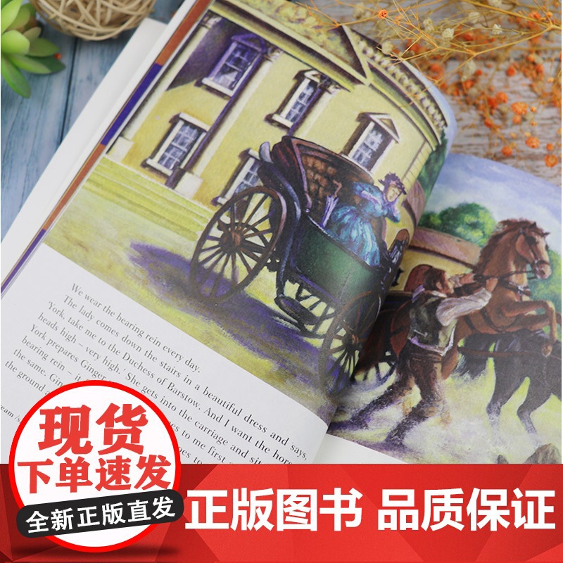 黑猫英语分级读物 黑骏马 中学A级1 电子音频 中学生英语分级阅读 初中英语阅读故事书 上海外语教育出版社9787544高清大图