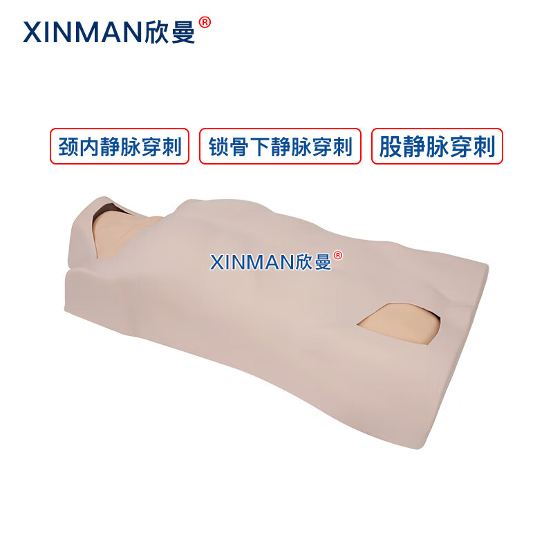 欣曼科教 中心静脉穿刺注射躯干模型 中心静脉置管术操作训练模型XM-LZC01高清大图
