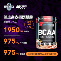 EB健型EVERBUILD伏击者支链氨基酸2:1:1固体饮料奇异果味
