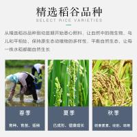 苏宁宜品自营桂鼎御贡丝苗长粒米5KG 当季10斤新米