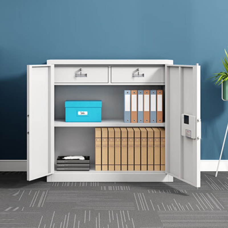 东升顺指纹电子保密柜钢制密码文件柜档案柜办公柜矮柜保密资料柜单节白色国保指纹高清大图