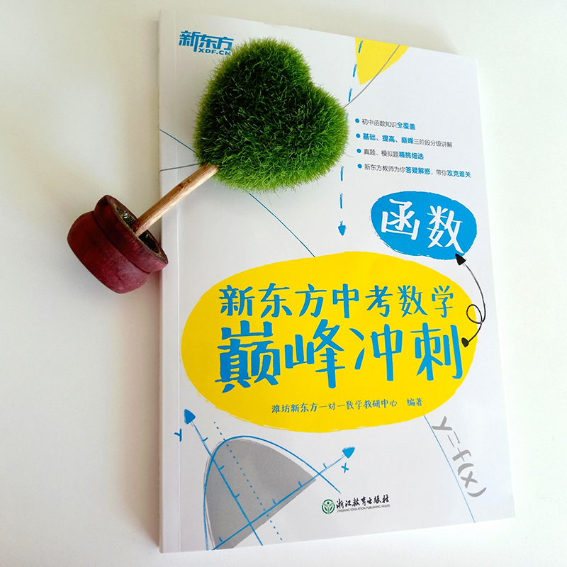 数学 全国通用 [正版]新东方店新东方中考数学冲刺 函数 初中一二次反比例函数专题练习题真题模拟题方程不等式 备考冲刺复