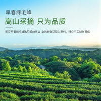 明芽绿茶碧螺春明前春茶散装高山云雾绿茶100g