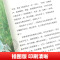 稻花香里的迷藏 [正版]稻花香里的迷藏 2024内蒙古书香草原阅美湖湘阅读打卡笔墨书香经典阅读二三年级小学生课外书 红辣