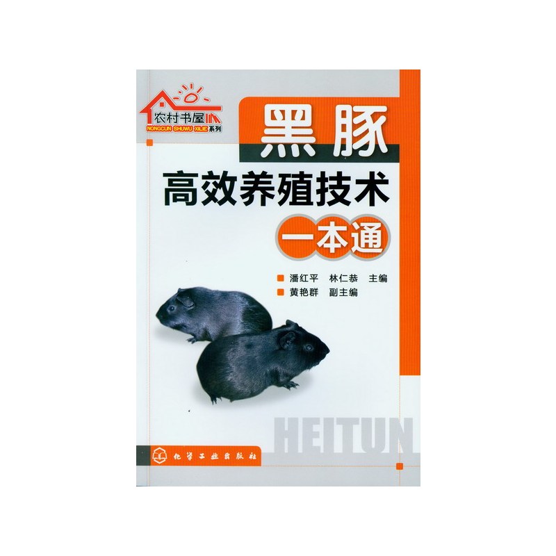 [正版]黑豚高效养殖技术一本通黑豚鼠养殖技术与疾病防治技术大全书荷兰猪饲养技术宝典黑豚饲养饲料配置与建厂安全饲养方法黑