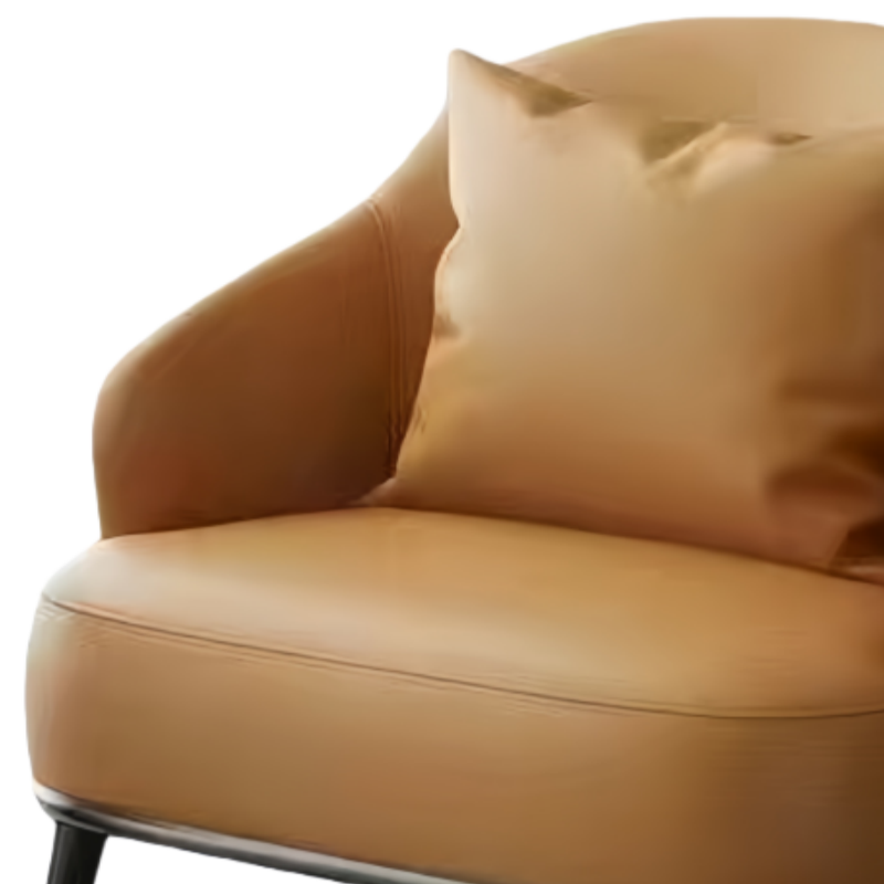 乐琪艺 休闲沙发 单人 张高清大图