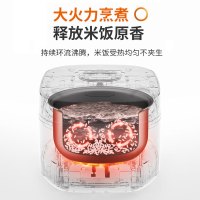 九阳(Joyoung)电饭煲 电饭锅3L大火力 智能预约多功能焖煮防溢家用迷你电饭煲 3L新品一键柴火饭