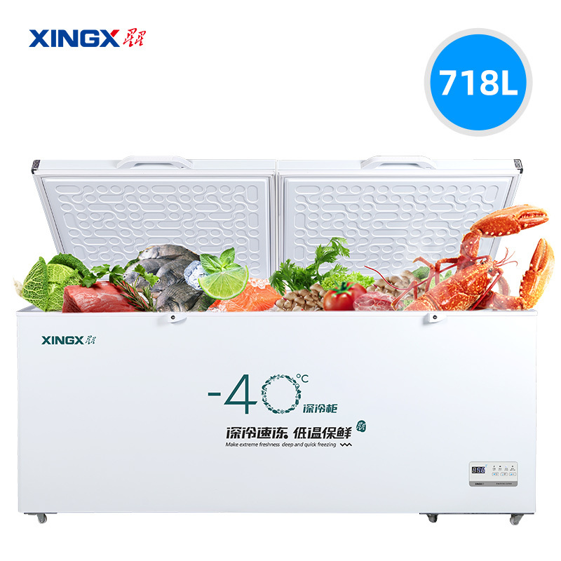 星星(XINGX)BD/BC-718GS超低温厨房商用保鲜设备卧式冷柜单温冷藏冷冻转换柜家用大容量深冷速冻柜铜管制冷