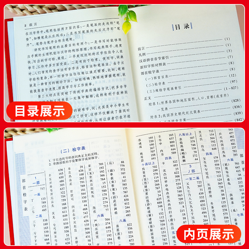 [五本]英汉词典+现代汉语+古汉语字典+新华字典+成语字典 [正版]2024学生实用字典小学生新版字典初中高中生新编多功高清大图
