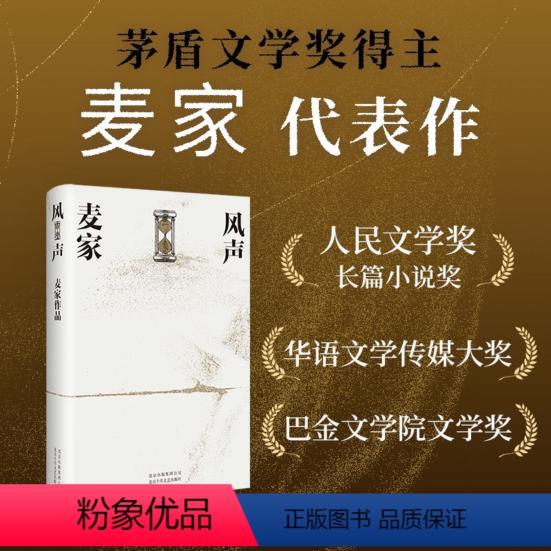 【正版】风声 麦家 谍战 影视剧 暗算 解密 人生海海 人间信