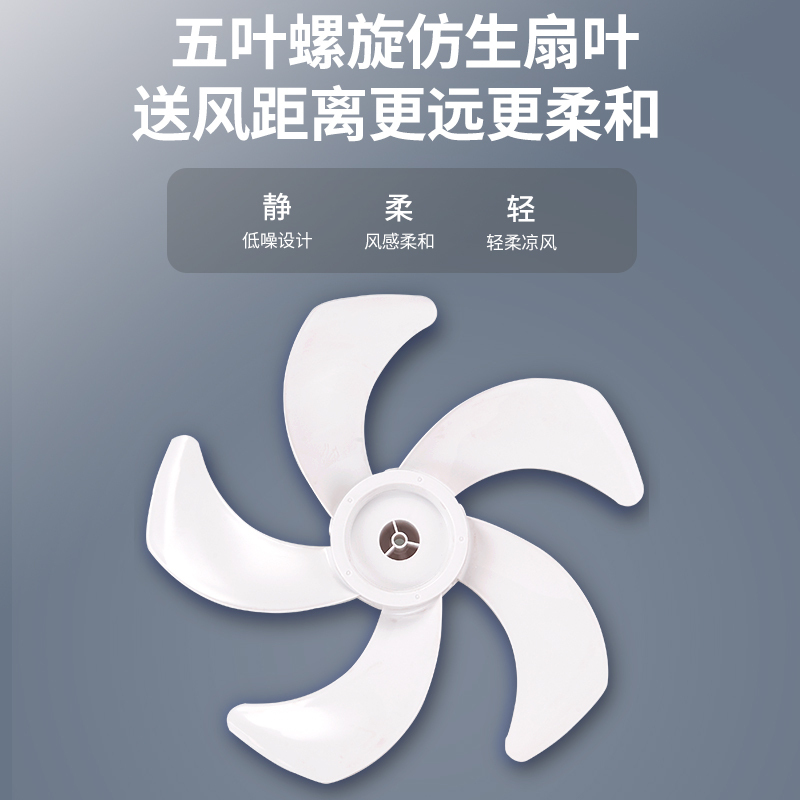 TCL电风扇落地扇家用台式定时大风量摇头式办公室 TCL-TFS30-21FD5