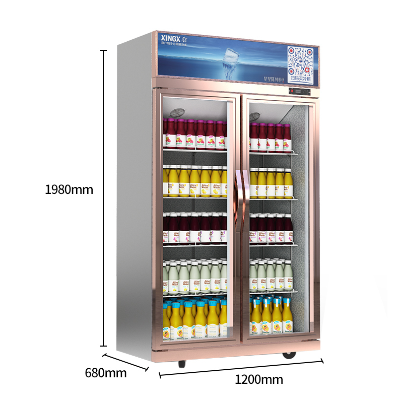 星星xingx800升饮料展示柜双门超市冷藏柜保鲜冰箱冰柜便利店陈列柜大