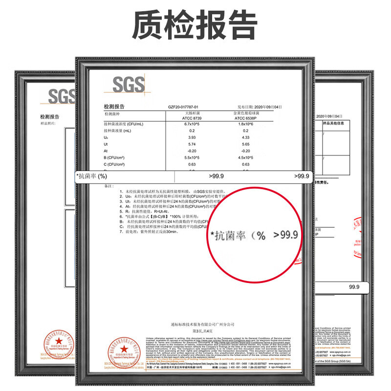 茶花(CHAHUA)冰箱保鲜盒出游野餐盒储物盒Ag+抗菌密封不漏水冷藏冷冻收纳盒 000018高清大图