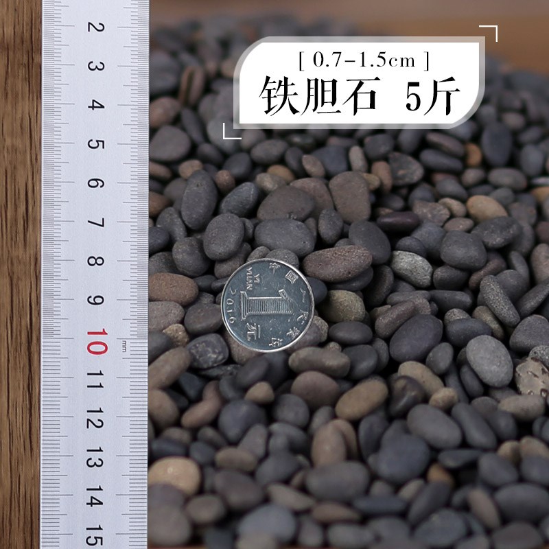 栽肉肉专用小石子花盆里放的石头透气鱼缸造景卵石养花五彩玻璃石 5斤0.7-1.5cm铁胆石 天然