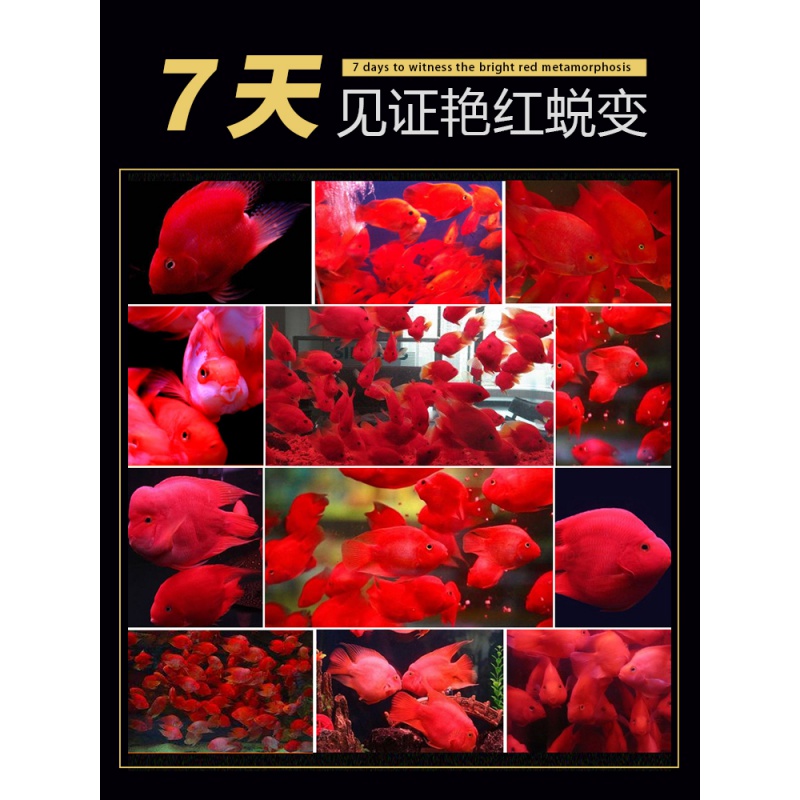 血鹦鹉鱼饲料增红增艳鱼食红鹦鹉小颗粒虾红素迷你增色正品专用粮高清大图