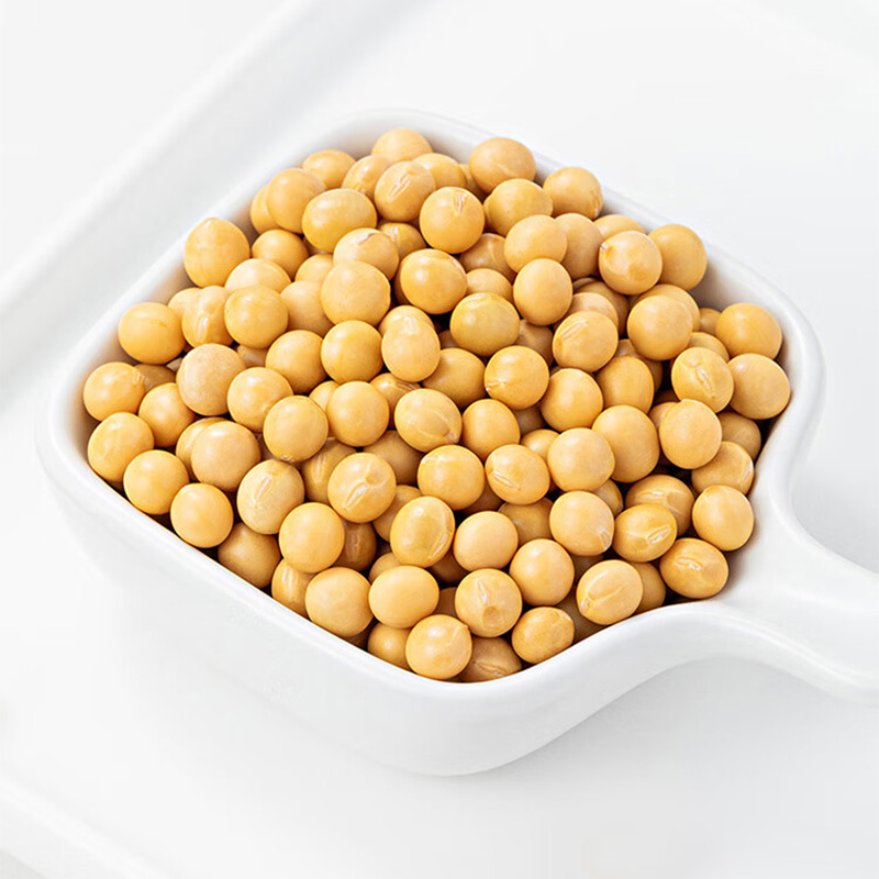 燕之坊黄豆色泽金黄大小饱满颗粒均匀豆香浓郁呼伦贝尔系列345g高清大图