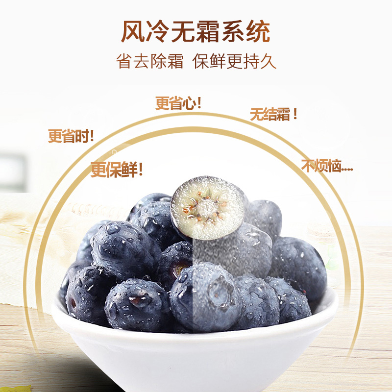 伊莱克斯(Electrolux)法式多门冰箱EHE5209GD 520升大容量 干湿分储 一级变频 风冷无霜 彩晶面板高清大图