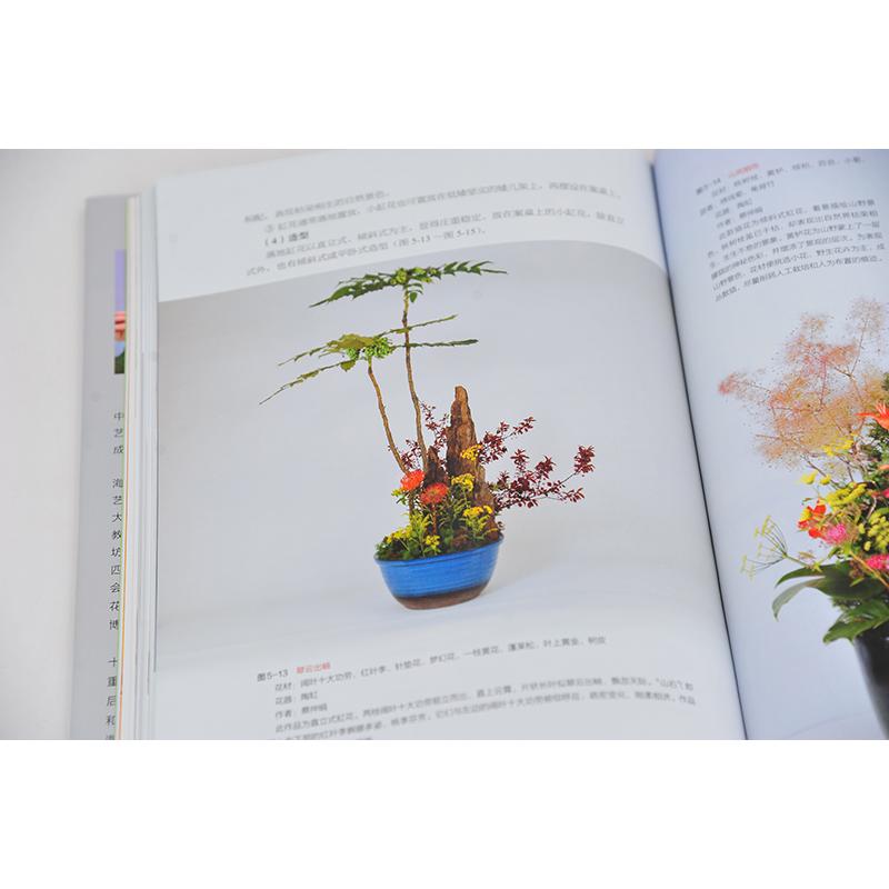 [醉染正版]中国插花艺术 蔡仲娟 编 养花书籍高清大图
