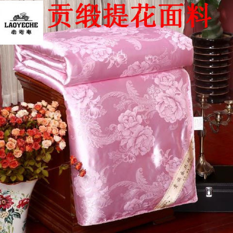 特价正品蚕丝被100%春秋被加厚冬被夏被空调被四季被单双人学生被
