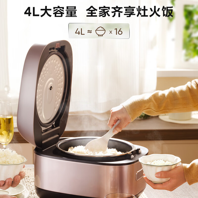 电饭煲 CFB4093H高清大图