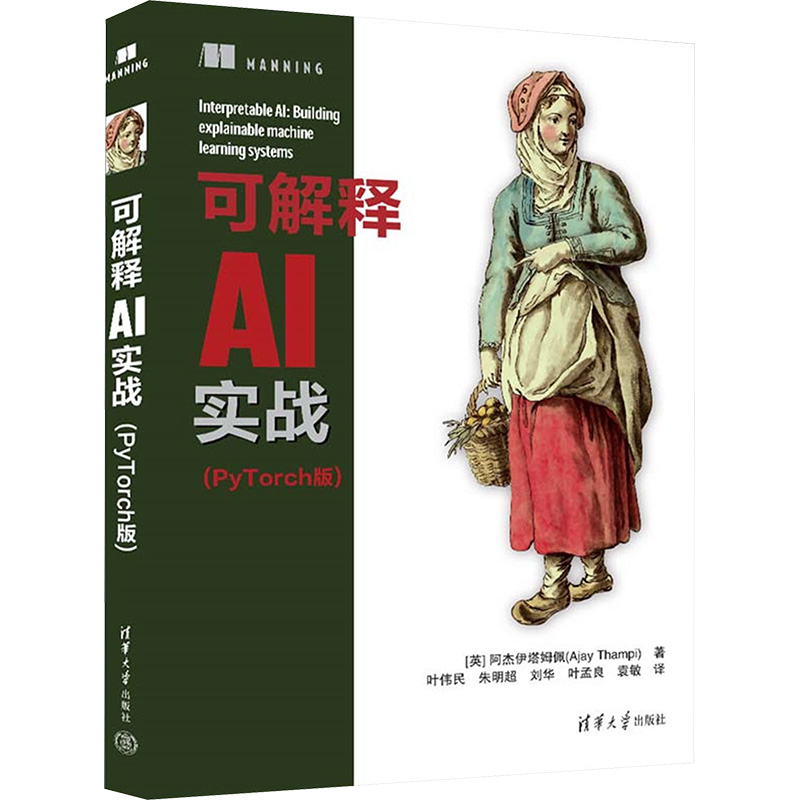 [M]可解释AI实战(PyTorch版)-9787302654865高清大图