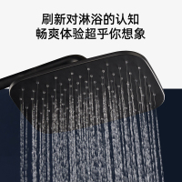箭牌卫浴(ARROW) 顶喷花洒 浴缸淋浴 浴室可调花洒喷头黑色增压大出水家用淋浴器通用自洁浴霸花洒头AE5003