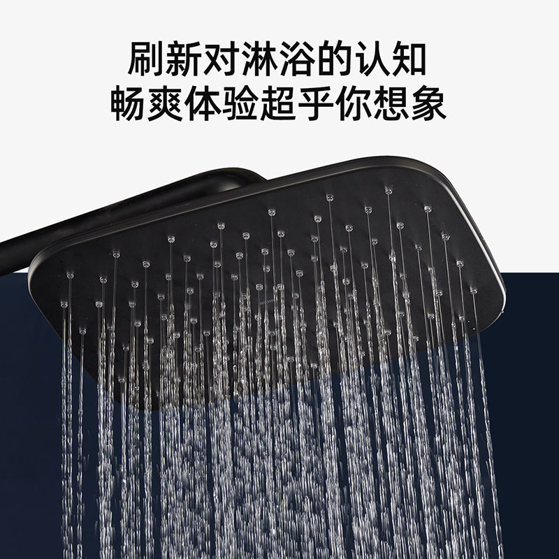 箭牌卫浴(ARROW) 顶喷花洒 浴缸淋浴 浴室可调花洒喷头黑色增压大出水家用淋浴器通用自洁浴霸花洒头AE5003