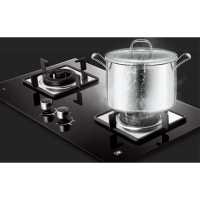 燃气炉灶 双炉头(单位:套)