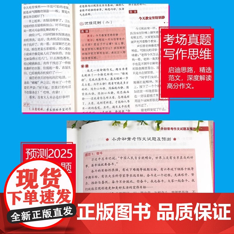 2025新版小升初满分作文小考高分作文大全作文素材必考名校获奖押题作文辅导金榜题名小学生四五六年级精选同步优秀作文书大全高清大图