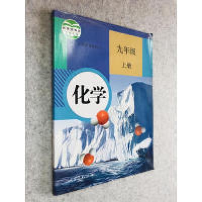 11化学九年级上册978710724501522