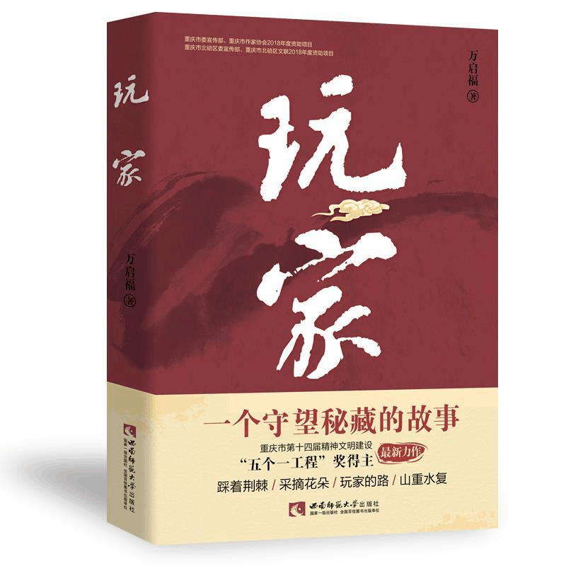 正版新书]玩家万启福9787562194545图片