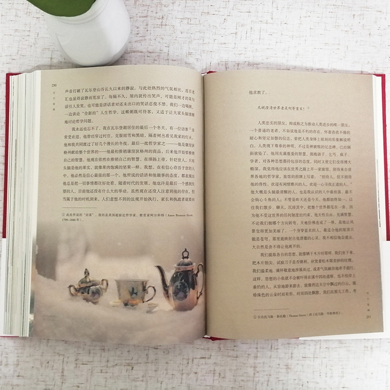 瓦尔登湖 [正版]认准瓦尔登湖 梭罗著名家全译本无删减外国现当代经典小说读物世界名著 初高中小学生课外阅读物世界国外高清大图