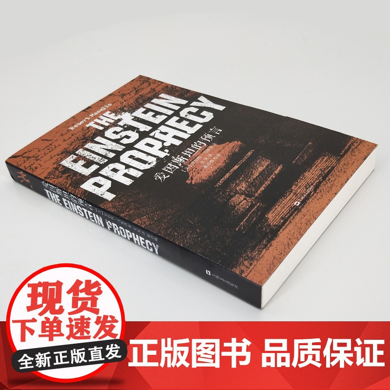 爱因斯坦的预言 血手印系列 美国亚马逊Kindle 榜周亚军 罗伯特马斯洛 侦探破案悬疑恐怖惊悚小说 正版图书籍 上海高清大图