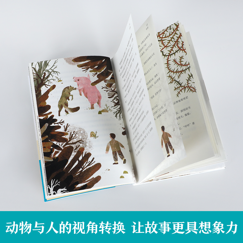 山神 [正版] 万物有灵系列山神儿童文学3-4-5-6岁绘本早教启蒙 文学欣赏能力培养高清大图