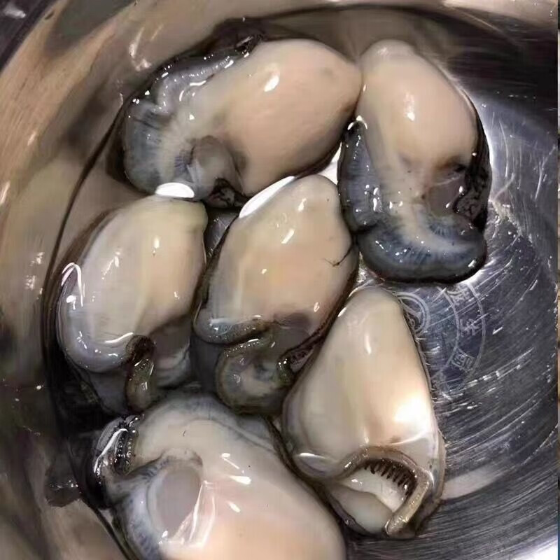 沈志雄东山岛澳角村海鲜生蚝纯肉鲜甜当天现剥生蚝肉海蛎肉牡蛎肉4斤小生蚝肉高清大图