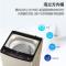 海尔（Haier）洗衣机波轮全自动 XQB90-BF936