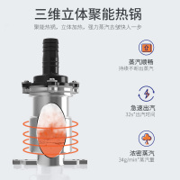 英国倍科(BEKO)双杆挂烫机全铝加热 双杆带板 立式挂烫机 大蒸汽 2.0升大水箱 防干烧