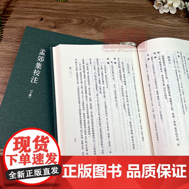 浙江文丛:孟郊集校注(上下全套2册 竖版繁体精装) 唐代著名诗人孟郊诗文集 中国古典诗歌随笔散文集学术研究资料艺术理论正高清大图