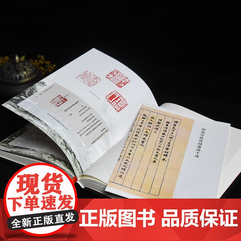 独醒之累:郭嵩焘与晚清大变局 孟泽著 读懂内外矛盾交织的晚清政局 曾国藩左宗棠胡林翼李鸿章 中国通史历史类书籍 岳麓书社高清大图