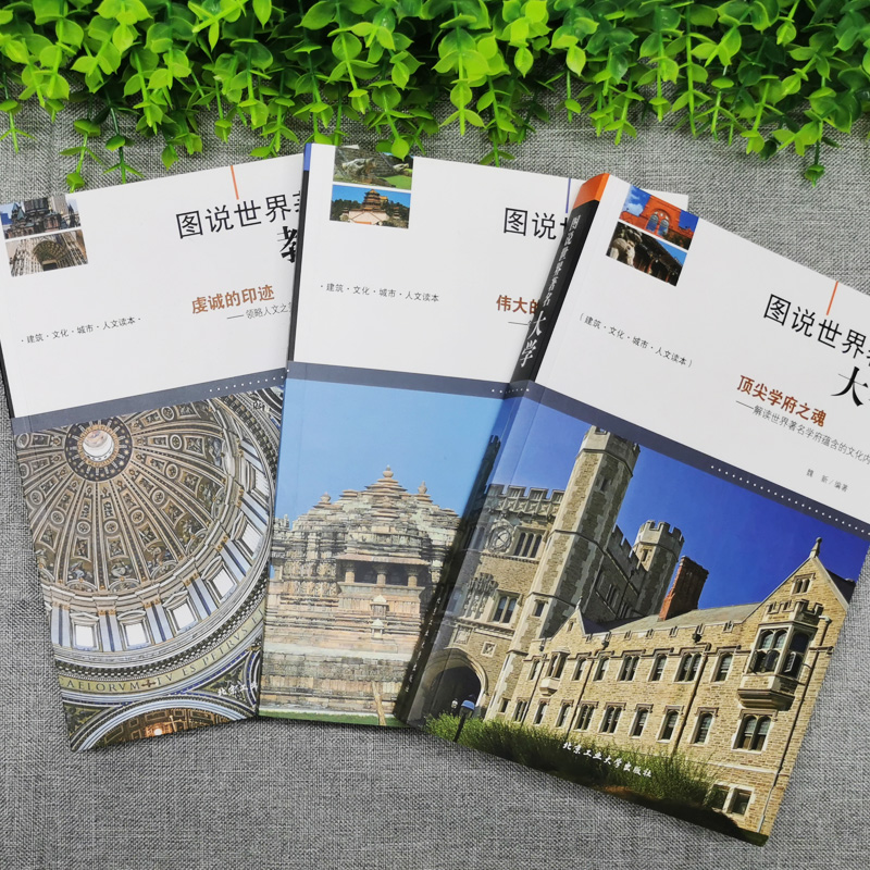 [正版]3册图说世界著名教堂建筑大学全球有代表性的各式经典伟大的建筑教堂建筑的概况结构特点特色和功能揭秘中外名建筑书籍高清大图