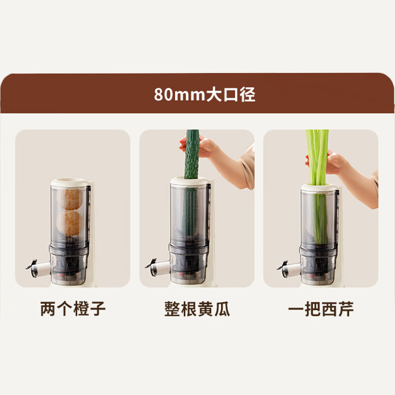 九阳(Joyoung)原汁机 多功能家用电动榨汁机全自动冷压炸果汁果蔬机渣汁分离Z5-LZ550高清大图