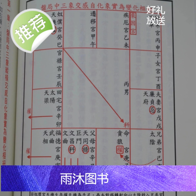 正版 北派河洛紫微斗数止观录 楚天云阔 进源高清大图