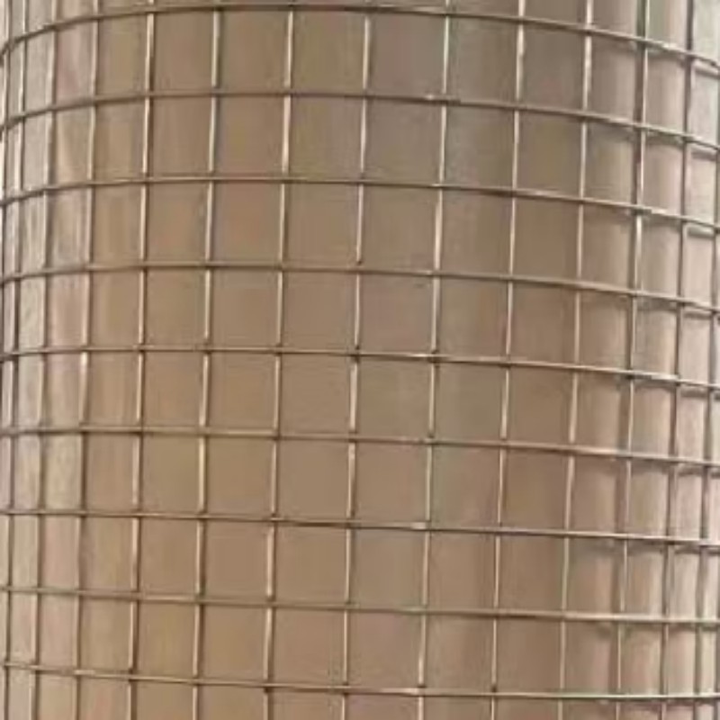 高杨茂诺 金属丝加密网 1.0*30*30*1000mm卷高清大图